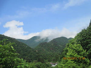 Mountain